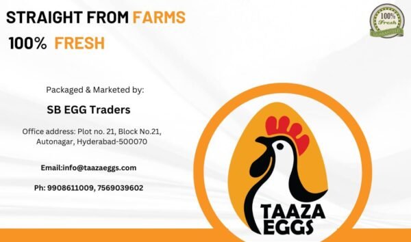 TAAZA EGGS - Image 2