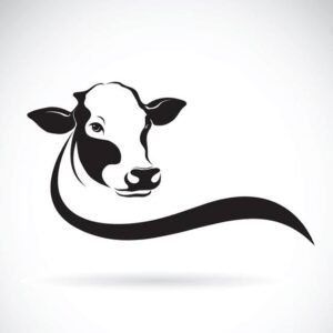 GOVINDHA DAIRY FARM
