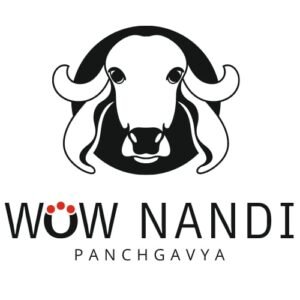 WOW NANDI